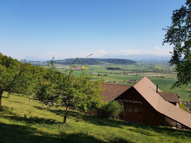 Bauernhof bei Ängelberg, im Hintergrund das Wauwilermoos