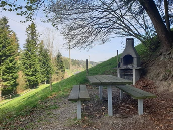 Feuerstelle Hinter Säge