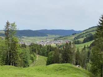 Blick auf Rothenthurm.