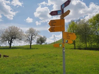 Bei Oberwil treffen wir auf den Jakobsweg