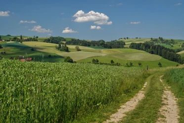 Unterwegs Richtung Ebersecken