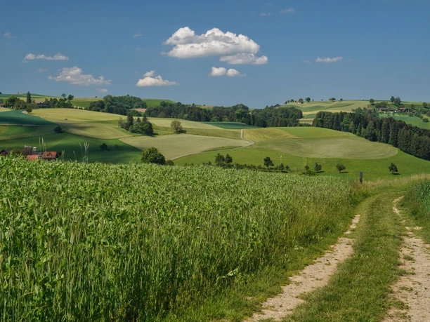 Unterwegs Richtung Ebersecken