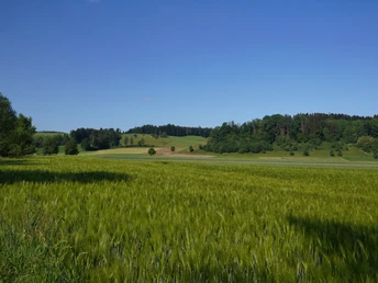 Typische Landschaft in der Nähe von Nebikon