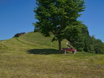 Ein Ruhebänkli auf dem Weg zum Röllihof