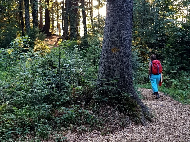 Wanderung zum Fallenfluekänzeli