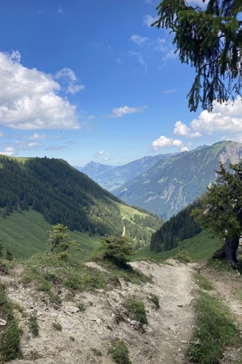 Aussicht vom Finsterbüel