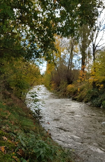Die Wigger bei Schötz im Herbst