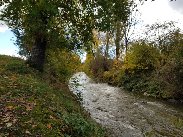 Die Wigger bei Schötz im Herbst