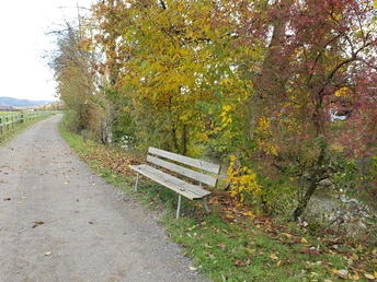Ruhebank bei der Station 5 "Vögel"