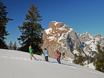 Winterwanderung Mythenregion mit Blick auf die Mythen