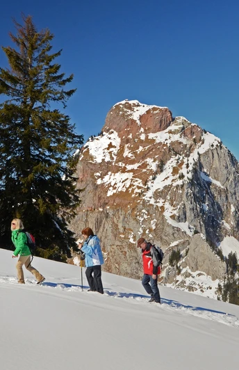 Winterwanderung Mythenregion mit Blick auf die Mythen