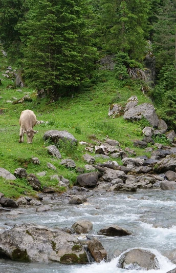 Neben der Talstation der Glattalpbahn.