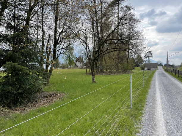 Unterwegs in Bolligen