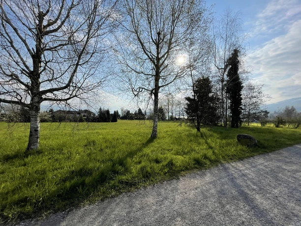 Unterwegs von Pfäffikon nach Altendorf