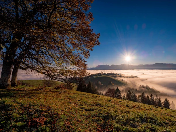 Herbststimmung auf dem Menzberg