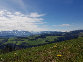 Aussicht Richtung Berner Alpen
