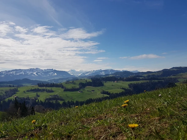 Aussicht Richtung Berner Alpen