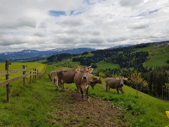 Bei der Längebüelschür, im Hintergrund rechts unser Ziel Menzberg.