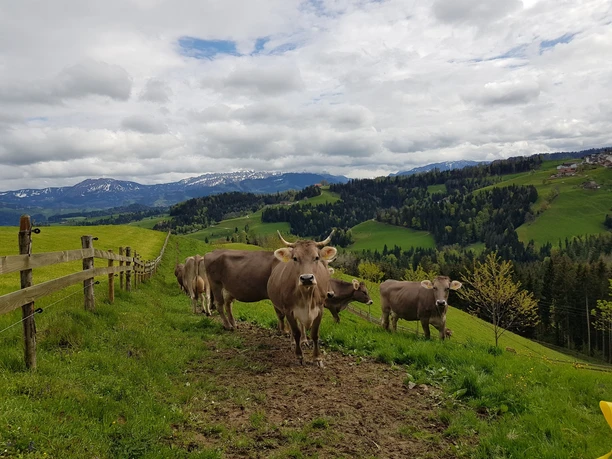 Bei der Längebüelschür, im Hintergrund rechts unser Ziel Menzberg.