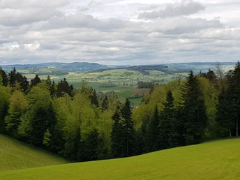 Oberhalb von Menznau Blick gegen Norden