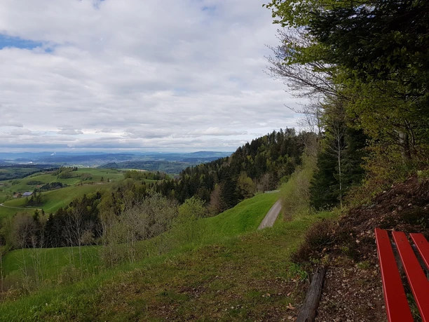 Zwischen Buechen und Buchensäge wunderschöne Aussicht