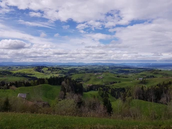 Zwischen Buechen und Buchensäge Aussicht von der Rastbank aus