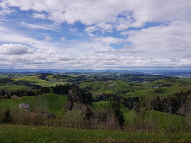 Zwischen Buechen und Buchensäge Aussicht von der Rastbank aus