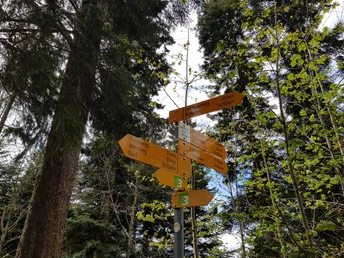 Wegweiser beim Punkt Längebüelschür, wo wir auf den Alpenpanoramaweg stossen