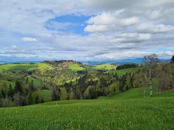 Aussicht vom Menzberg aus, die Sonne zeigt sich doch noch