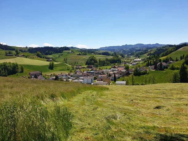 Nach dem kurzen Aufstieg Blick nach Hergiswil