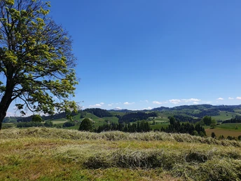 Schöne Aussicht ins Napfgebiet