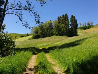 Vom Nollental wieder in die Höhe