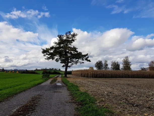 Wauwilermoos
