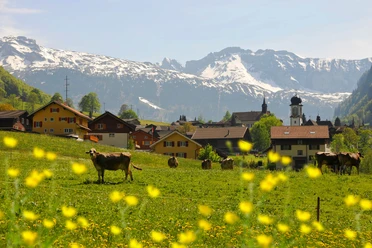 Melchtal