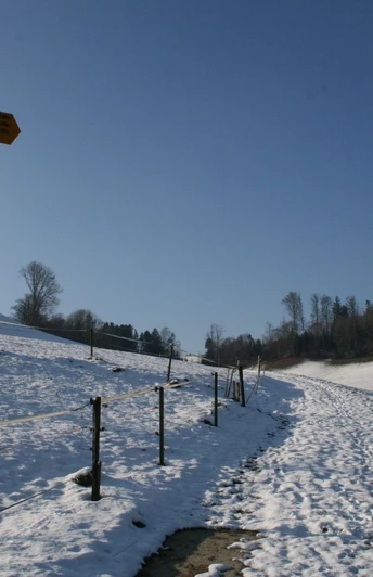Auf der Höhe von Ohmstal empfängt uns die winterliche Landschaft