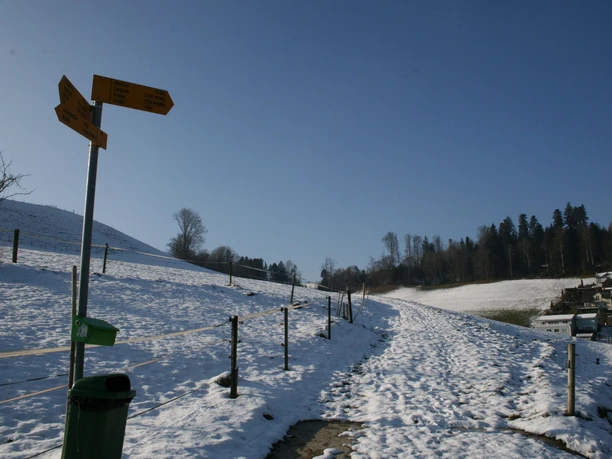 Auf der Höhe von Ohmstal empfängt uns die winterliche Landschaft