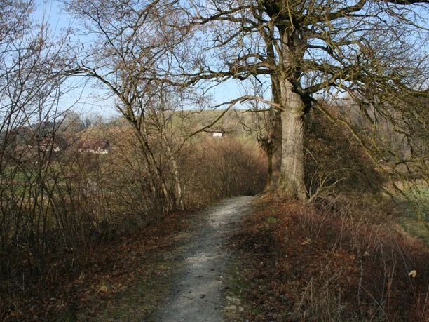 Am Anfang geht es eher noch herbstlich der Luther entlang