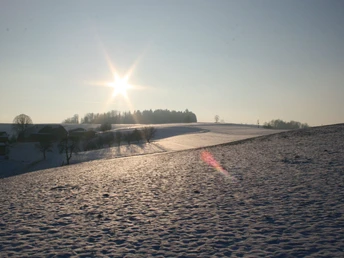 Typische Winterlandschaft