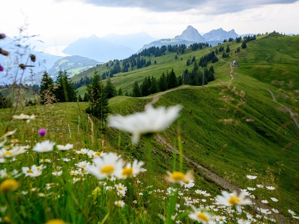Aussicht auf den Weg vom Spirstock nach Ibergeregg.