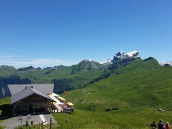 Restaurant Spirstock