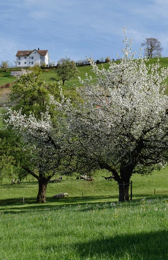Blick auf das Restaurant Johannisburg von unten.