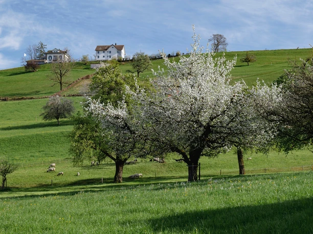 Blick auf das Restaurant Johannisburg von unten.