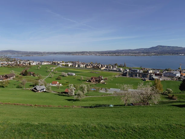 Blick auf den Zürichsee