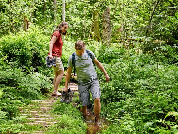 Barfusspfad (Gesundheitspfad) Heiligkreuz