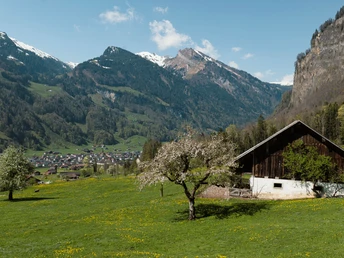 Bluescht in Muotathal