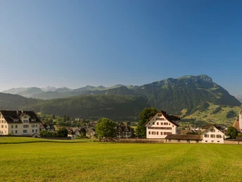 Herrenhäuser Schwyz