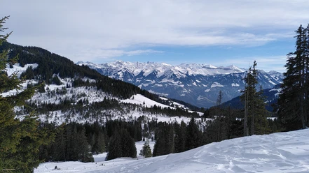 Langis Trail