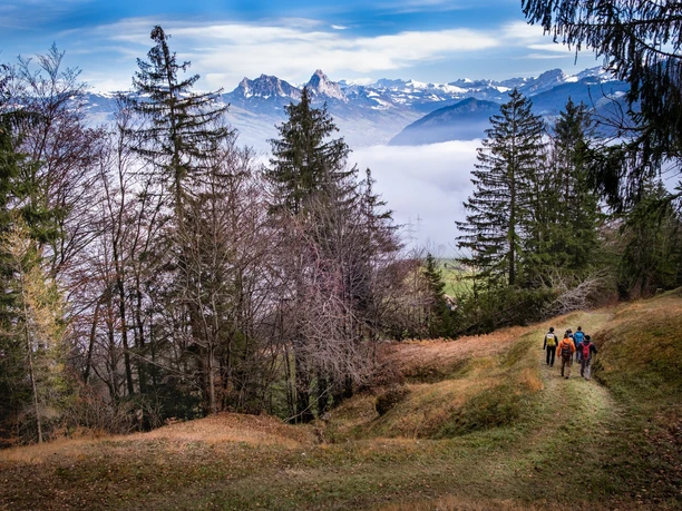 Auf dem Abstieg durch die Rigi Nordlehne