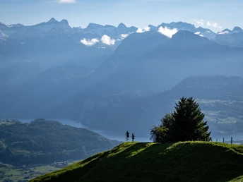 Panorama von der Mostelegg aus