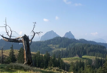 Unterwegs auf der Thorthour